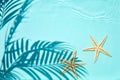 Shadow of a palm tree on a Blue water background Royalty Free Stock Photo