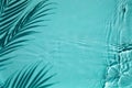 Shadow of a palm tree on a Blue water background Royalty Free Stock Photo