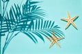 Shadow of a palm tree on a Blue water background Royalty Free Stock Photo