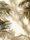 Palm Tree Shadow on Wall