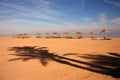 Shadow of a palm tree on the sand against the background of umbrellas from the sun on the Red Sea.
