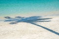 Shadow of a palm tree on the sand of a beach Royalty Free Stock Photo