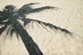 Shadow from palm tree on a sandy beach. Royalty Free Stock Photo
