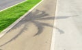 Shadow from a palm tree on the sidewalk. Royalty Free Stock Photo