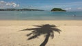 The shadow of palm trees on the shore, Guam Royalty Free Stock Photo