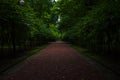 Shadow park with straight road soft focus dirt textured surface, foot path for morning running or walking activity Royalty Free Stock Photo