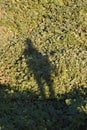 Shadow on a patch of kudzu Royalty Free Stock Photo