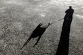 The shadow of a man walking their dog Royalty Free Stock Photo