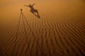 Shadow of a photographer levitating next to his tripod cast