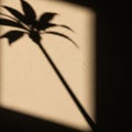 Shadow of a plant cast on a textured beige wall forming an abstract pattern Royalty Free Stock Photo