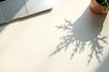 Shadow of Plant Creates Abstract Branch Pattern on Modern Worksp Royalty Free Stock Photo