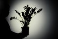 Shadow of a plant from the night light of a flashlight on a white wall. D Royalty Free Stock Photo