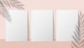 Shadow plant. Overlay palm leaf effect on white book cover. Vector realistic books mockups and blurred nature background