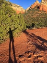 Sedona Red Rocks Royalty Free Stock Photo