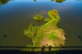 Shadow and projected silhouette of a couple of lovers holding hands on a river island full of green vegetation in the Tormes River Royalty Free Stock Photo