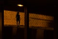 The shadow of a prostitute on the brick wall.
