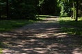 Shadow road in the summer  forest Royalty Free Stock Photo