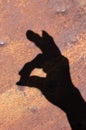 A shadow shaped like a rabbit`s head