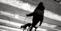 Shadow silhouette of a person and a dog on a leash crossing the Royalty Free Stock Photo