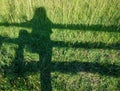 Shadow silhouette of person leaning on split rail fence in green pasture Royalty Free Stock Photo