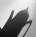 Shadow silhouette of traditional elegant kettle