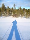 Shadow of skier