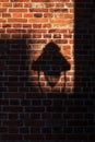 Shadow of a street lamp on an old brick wall, unusual background Royalty Free Stock Photo