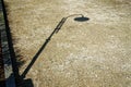 Shadow of street lamp in sunny day, road lantern in park