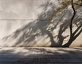 A shadow of swaying tree branches reflected on a weathered concrete wall emphasizing natural harmony Royalty Free Stock Photo