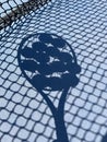 Shadow of tennis balls on the racket on hard court by the net. Tennis net shadows on tennis yellow balls. Royalty Free Stock Photo