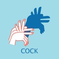 Shadow Theater. Hands gesture like Cock. Vector illustration of Shadow Hand Puppet.