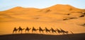 Shadow of tourists caravan riding dromedaries through sand dunes in Sahara desert near Merzuga
