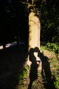 A shadow on tree beautiful couple kissing