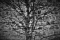 Black and white image. Shadow of tree branches on decorative stone wall. Royalty Free Stock Photo