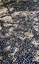 Shadow of tree branches on stone floor Royalty Free Stock Photo