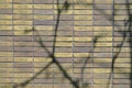 Shadow Of A Tree On The Bricks From The Holocaust Name Monument At Amsterdam The Netherlands 29-4-20242, 2021, amsterdam, art, Royalty Free Stock Photo