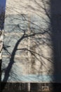 Shadow of tree on building. Sun shadow on wall. Silhouette of large tree