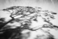 Shadow of a tree cast on a lake or river