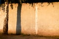 shadow of a tree on a concrete wall black and white picture Royalty Free Stock Photo