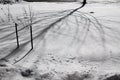 Shadow of a Tree on Freshly Fallen Snow