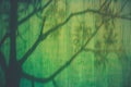 The shadow of a tree on Green metal sheet texture background Royalty Free Stock Photo