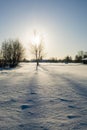 Shadow of a tree at snow in a sunny day Royalty Free Stock Photo