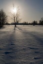 Shadow of a tree at snow in a sunny day Royalty Free Stock Photo