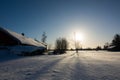 Shadow of a tree at snow in a sunny day Royalty Free Stock Photo