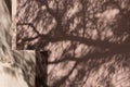 Stucco wall and gate, tree shadow Royalty Free Stock Photo