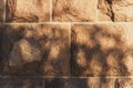 Shadow of a tree on a wall. Natural beauty poduim backdrop with Stone texture and tropical palm leaves shadow for cosmetic product