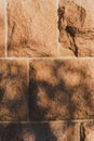 Shadow of a tree on a wall. Natural beauty poduim backdrop with Stone texture and tropical palm leaves shadow for cosmetic product