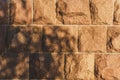 Shadow of a tree on a wall. Natural beauty poduim backdrop with Stone texture and tropical palm leaves shadow for cosmetic product