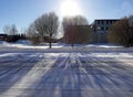 Shadow of trees branches on ground covered with white snow and sunlight in the background Royalty Free Stock Photo