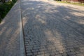 The shadow of trees on a gray stone-tiled road. Abstract summer background Royalty Free Stock Photo